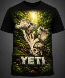 Yeti